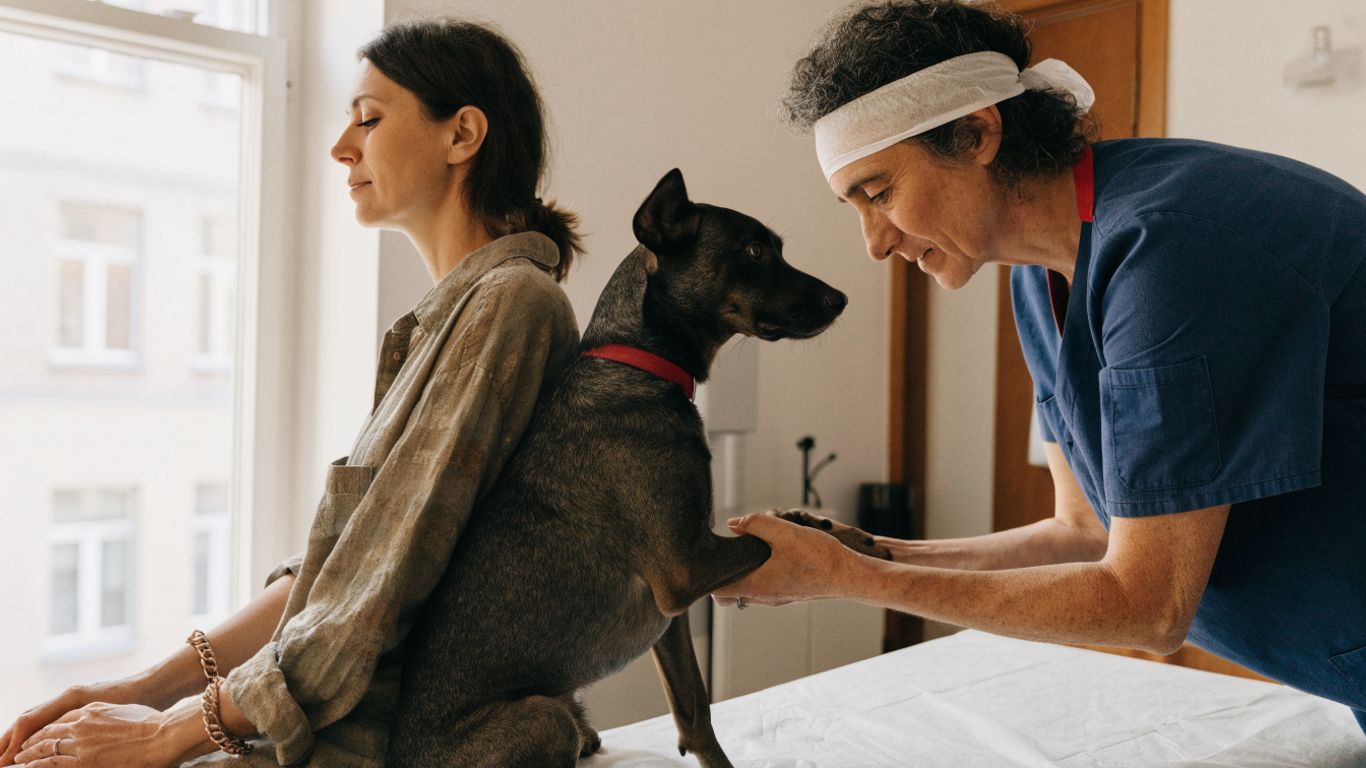 Symptoms of cancer in dogs: signs to watch for and when to call a vet